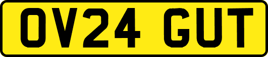 OV24GUT