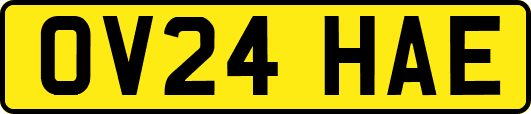 OV24HAE