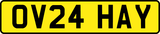OV24HAY