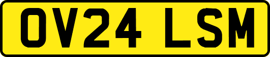 OV24LSM