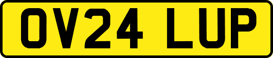 OV24LUP