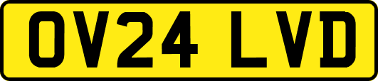 OV24LVD