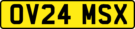 OV24MSX