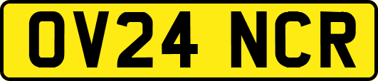 OV24NCR