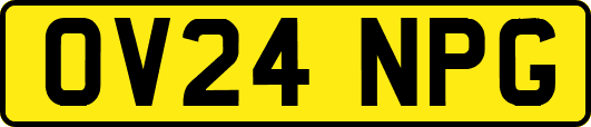 OV24NPG