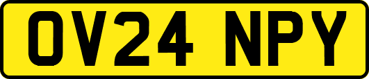 OV24NPY