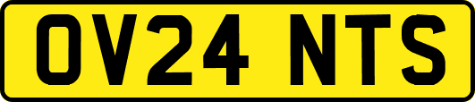 OV24NTS