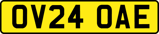 OV24OAE