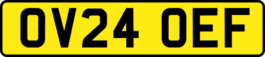 OV24OEF