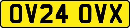 OV24OVX
