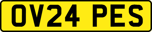 OV24PES