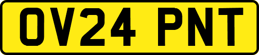 OV24PNT