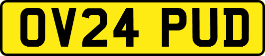 OV24PUD