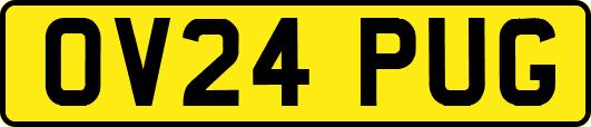 OV24PUG
