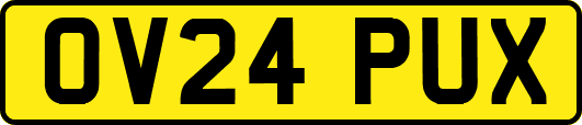 OV24PUX