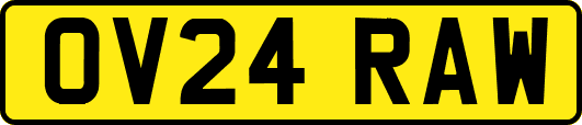 OV24RAW