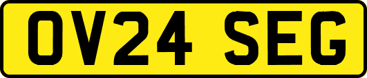 OV24SEG