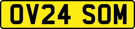 OV24SOM