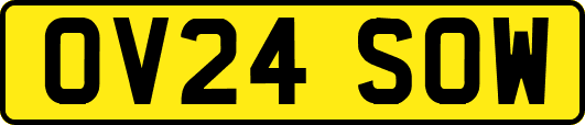 OV24SOW