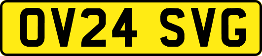 OV24SVG