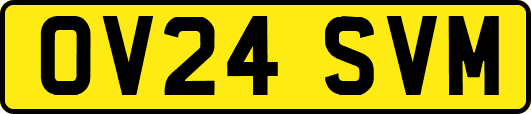 OV24SVM