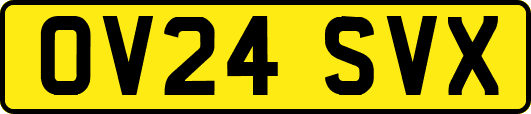 OV24SVX