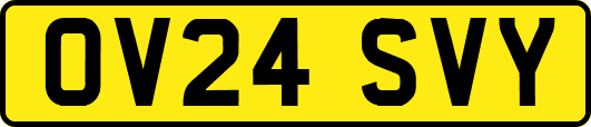 OV24SVY