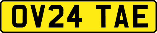 OV24TAE
