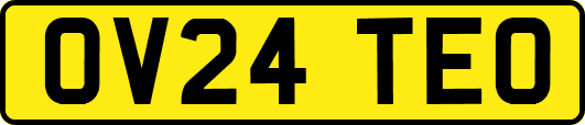 OV24TEO