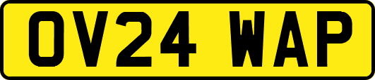 OV24WAP