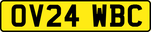 OV24WBC