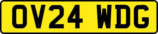 OV24WDG