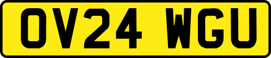 OV24WGU