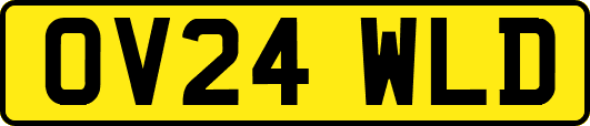 OV24WLD