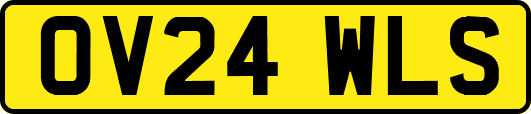 OV24WLS