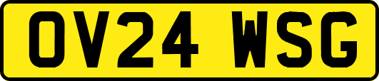 OV24WSG