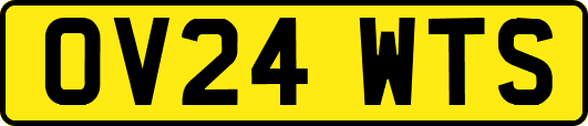 OV24WTS