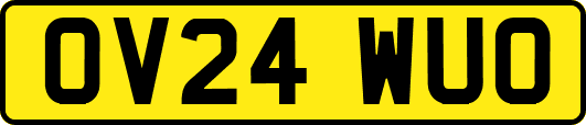 OV24WUO
