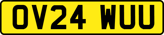 OV24WUU