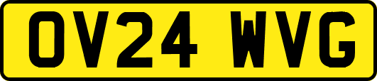 OV24WVG