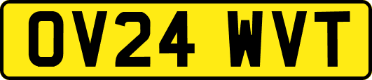 OV24WVT