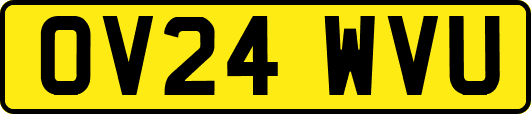 OV24WVU