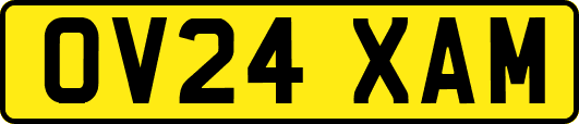 OV24XAM