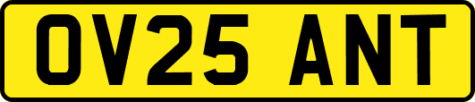 OV25ANT