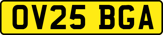 OV25BGA