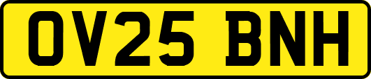 OV25BNH