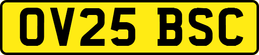 OV25BSC