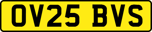 OV25BVS