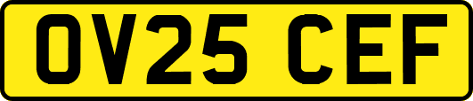 OV25CEF