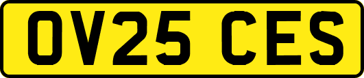 OV25CES